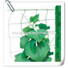 fabricante de rede de suporte de planta verde para feijão, pepino, tomate